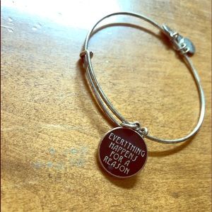 Alex and Ani bracelet - Silver with Black charm